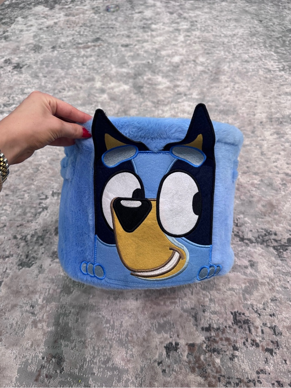 Disney Bluey Storage Bin